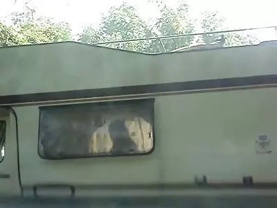 Доста блондинка жена милф прави адски голям минет, когато родителите онлайн порно камери спят