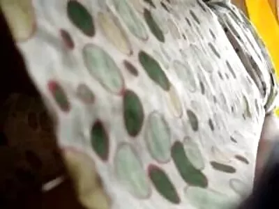 Жестоко по дяволите и свирка под душа скрита секс камера